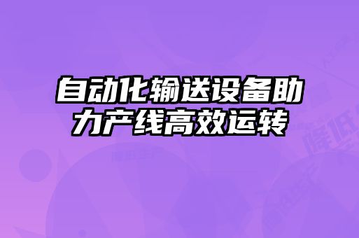 自動(dòng)化輸送設備助力產(chǎn)線(xiàn)高效運轉