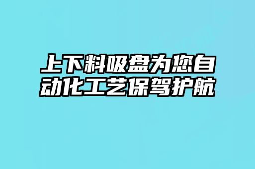 上下料吸盤(pán)為您自動(dòng)化工藝保駕護航
