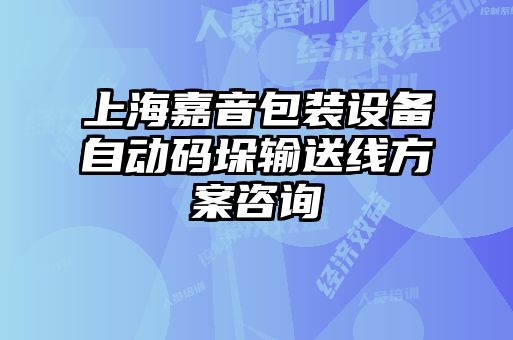 上海嘉音包裝設備自動(dòng)碼垛輸送線(xiàn)方案咨詢(xún)