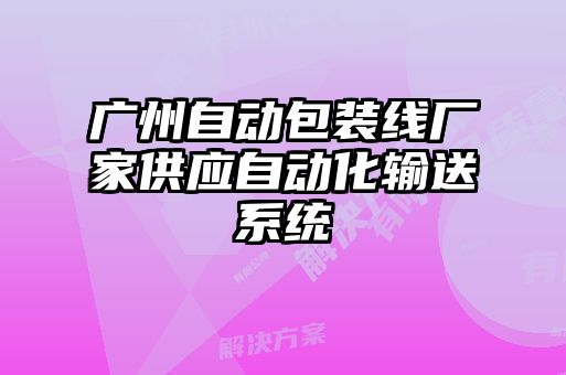 廣州自動(dòng)包裝線(xiàn)廠(chǎng)家供應自動(dòng)化輸送系統