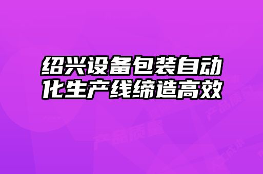 紹興設備包裝自動(dòng)化生產(chǎn)線(xiàn)締造高效