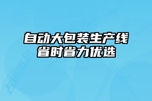 自動(dòng)大包裝生產(chǎn)線(xiàn)省時(shí)省力優(yōu)選