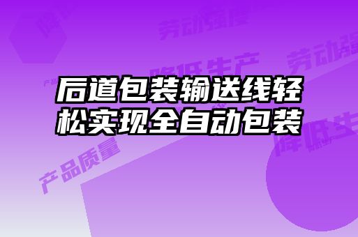 后道包裝輸送線(xiàn)輕松實(shí)現全自動(dòng)包裝
