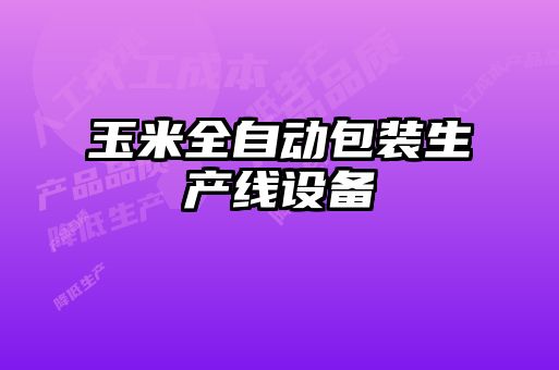 玉米全自動(dòng)包裝生產(chǎn)線(xiàn)設備
