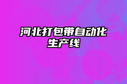 河北打包帶自動(dòng)化生產(chǎn)線(xiàn)