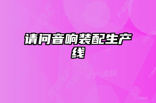 請問(wèn)音響裝配生產(chǎn)線(xiàn)