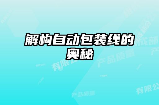 解構自動(dòng)包裝線(xiàn)的奧秘