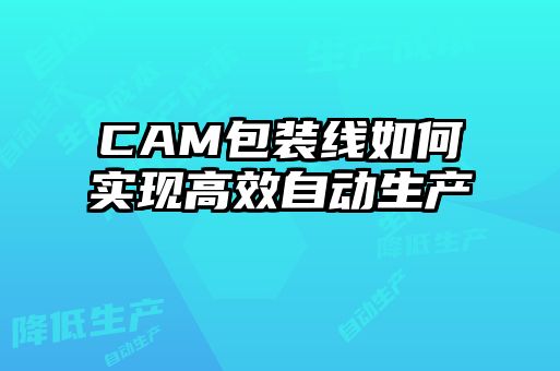 CAM包裝線(xiàn)如何實(shí)現高效自動(dòng)生產(chǎn)