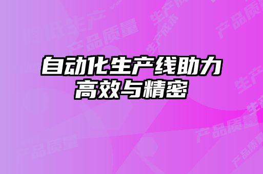 自動(dòng)化生產(chǎn)線(xiàn)助力高效與精密