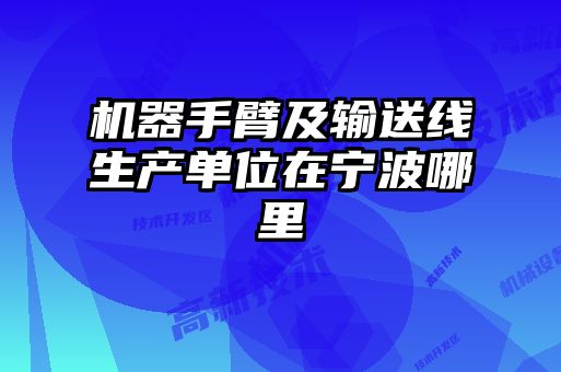 機器手臂及輸送線(xiàn)生產(chǎn)單位在寧波哪里