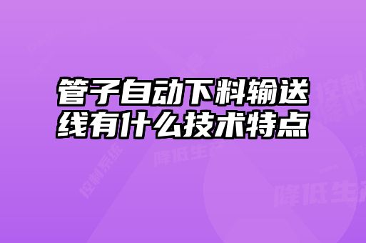 管子自動(dòng)下料輸送線(xiàn)有什么技術(shù)特點(diǎn)