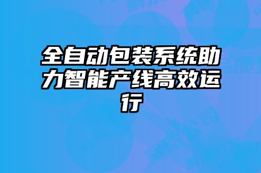 全自動(dòng)包裝系統助力智能產(chǎn)線(xiàn)高效運行