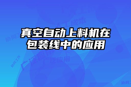 真空自動(dòng)上料機在包裝線(xiàn)中的應用