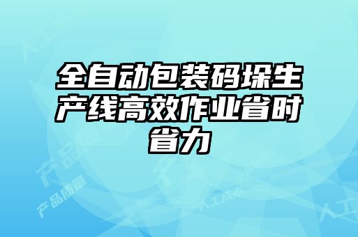 全自動(dòng)包裝碼垛生產(chǎn)線(xiàn)高效作業(yè)省時(shí)省力