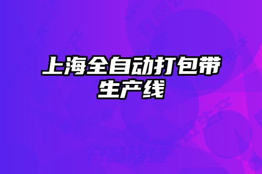 上海全自動(dòng)打包帶生產(chǎn)線(xiàn)