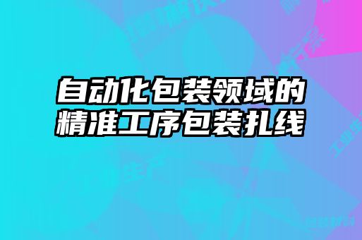 自動(dòng)化包裝領(lǐng)域的精準工序包裝扎線(xiàn)