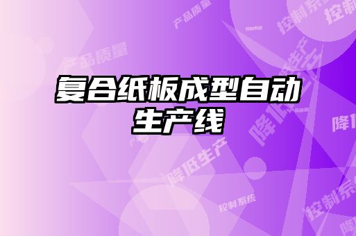 復合紙板成型自動(dòng)生產(chǎn)線(xiàn)