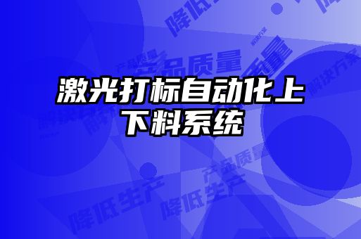 激光打標自動(dòng)化上下料系統