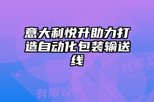 意大利悅升助力打造自動(dòng)化包裝輸送線(xiàn)